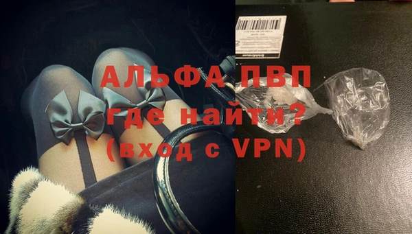 дживик Арсеньев