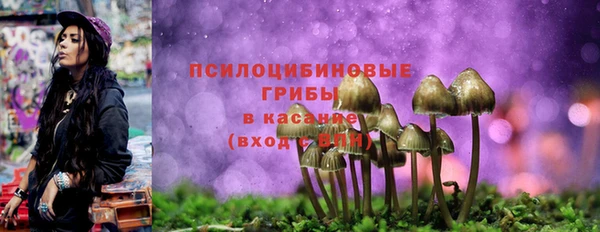 марки nbome Аркадак