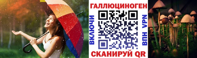 Псилоцибиновые грибы мухоморы  закладки  Нарткала 